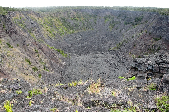 20091103_113934  G11.jpg - Crator, Volcano National Park, Hawii